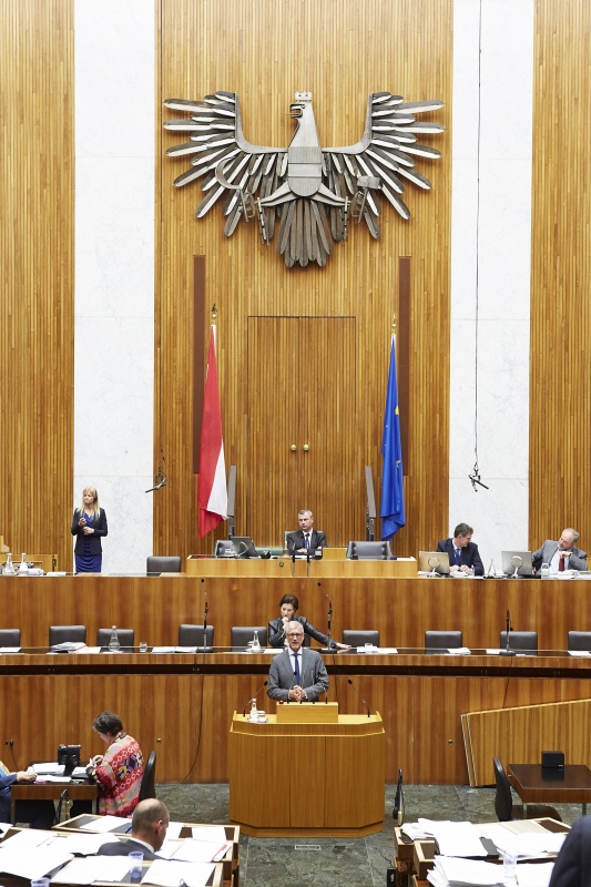 Nationalratsabgeordneter Harald Walser (G) am Rednerpult. Im Hintergrund auf der Regierungsbank Unterrichtsministerin Gabriele Heinisch-Hosek (S). Am Präsidium Dritter Nationalratspräsident Norbert Hofer (F)