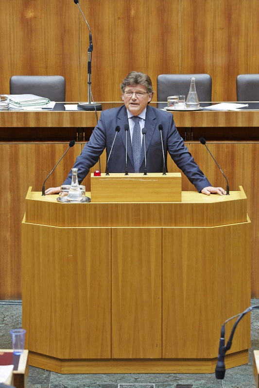 Nationalratsabgeordneter Rainer Wimmer (S) am Rednerpult