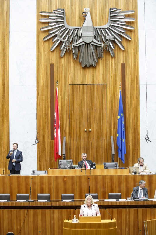 Nationalratsabgeordnete Marianne Gusenbauer-Jäger (S) am Rednerpult. Auf der Regierungsbank Gesundheitsminister Alois Stöger (S) und Staatssekretärin Sonja Steßl (S). Am Präsidium Dritter Nationalratspräsident Norbert Hofer (F)