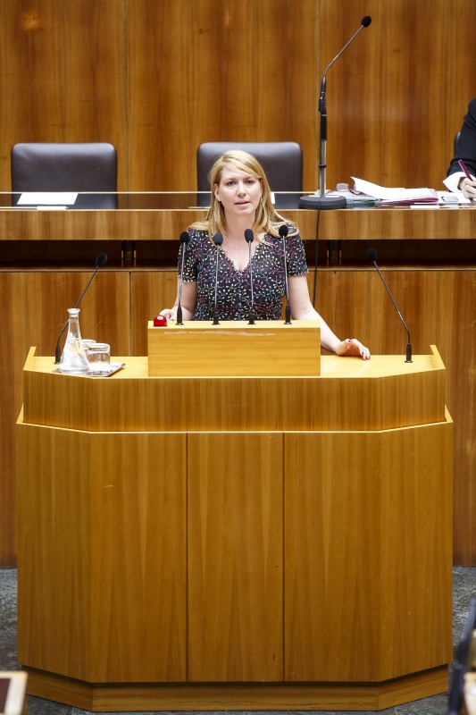 Nationalratsabgeordnete Elisabeth Hakel (S) am Rednerpult