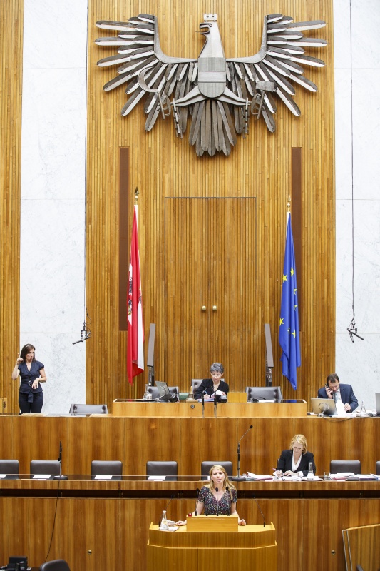 Nationalratsabgeordnete Elisabeth Hakel (S) am Rednerpult. Auf der Regierungsbank Staatssekretärin Sonja Steßl (S). Am Präsidium Nationalratspräsidentin Barbara Prammer (S)
