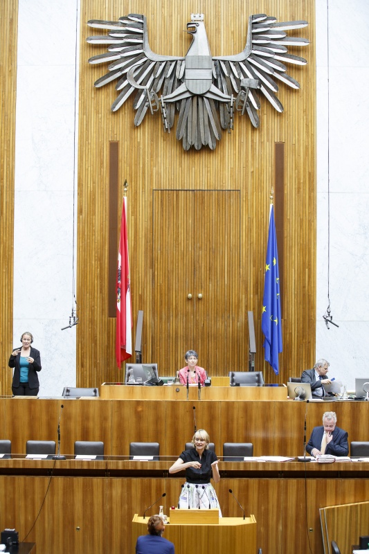 Nationalratsabgeordnete Helene Jarmer (G) am Rednerpult. Auf der Regierungsbank Sozialminister Rudolf Hundstorfer (S). Amn Präsidium Nationalratspräsidentin Barbara Prammer (S)