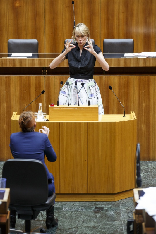 Nationalratsabgeordnete Helene Jarmer (G) am Rednerpult