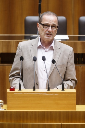 Nationalratsabgeordneter Dietmar Keck (S) am Rednerpult