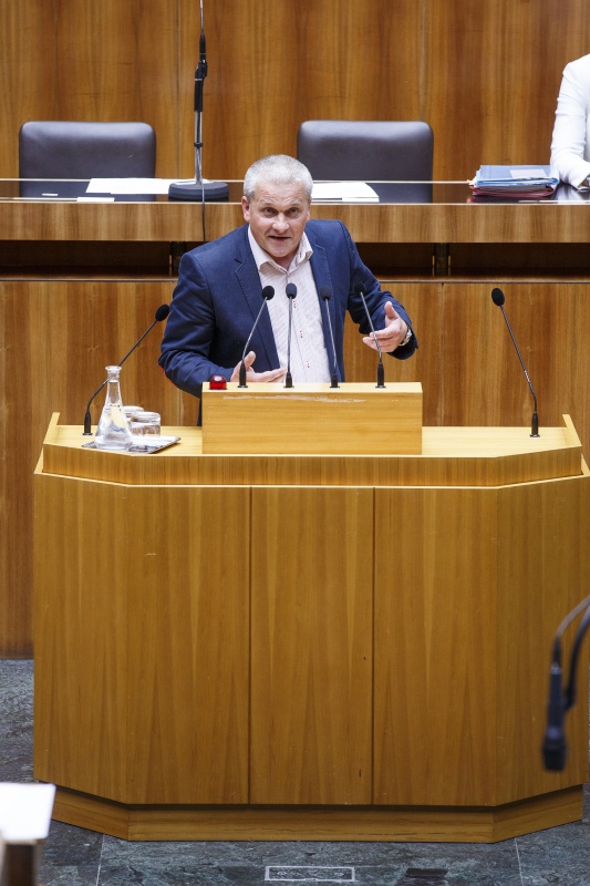 Nationalratsabgeordneter Christian Lausch (F) am Rednerpult