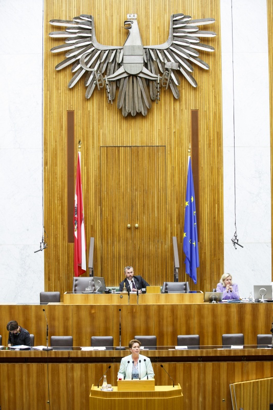 Nationalratsabgeordnete Angela Lueger (S) am Rednerpult. Auf der Regierungsbank Innenministerin Johanna Mikl-Leitner (V). Am Präsidium Dritter Nationalratspräsident Norbert Hofer (F).
