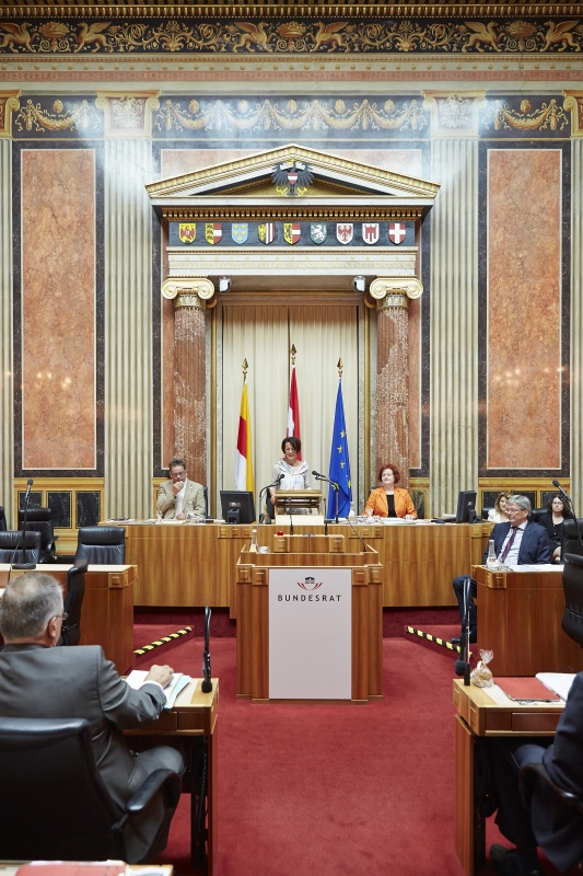 Bundesratspräsidentin Ana Blatnik  (S) bei ihrer Antrittsrede am Präsidium