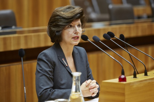 Präsidentin des Österreichischen Gesundheits- und Krankenpflegeverbandes Ursula Frohner am Rednerpult