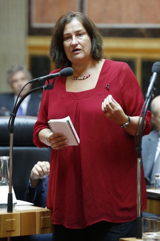 Nationalratsabgeordnete Petra Bayr (S) bei ihrer Wortmeldung