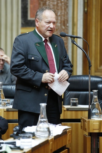 Nationalratsabgeordneter Hermann Schultes (V) bei seiner Wortmeldung