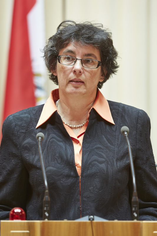 Slowenisches Institut in Klagenfurt Brigitte Entner am Rednerpult