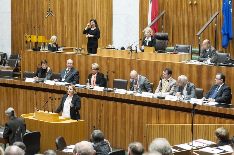 Mitglied der Bioethikkommission beim Bundeskanzleramt Maria Kletecka-Pulker bei ihrem Impulsreferat. 
Am Präsidium Vorsitzende der Enquete-Kommission Gertrude Aubauer. Auf der Regierungsbank v.li.: Mitglied der europäishen Ethik Kommission Günter Wirt, Präsidentin des Dachverbandes Hospiz Österreich Waltraud Klasnic, Präsident der österreichischen Palliativgesellschaft Harald Retschitzegger, Leiter des Nationalratsdienstes Gottfried Michalitsch, Caritas-Präsident Österreich Michael Landau und Direktor der Diakonie Österreich Michael Chalupka