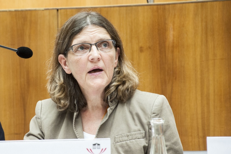 Zentrum polis Dorothea Steurer beim Panel 2 - Schule und Partizipation