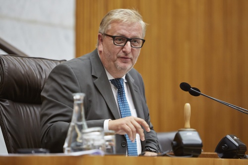 Nationalratsabgeordneter Christoph Matznetter (S) im Vorsitz