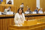 Nationalratsabgeordnete Petra Bayr (S) am Rednerpult