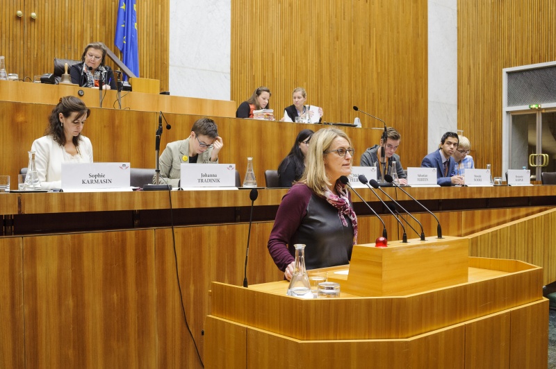 Nationalratsabgeordnete Ulrike Königsberger-Ludwig (S) am Rednerpult