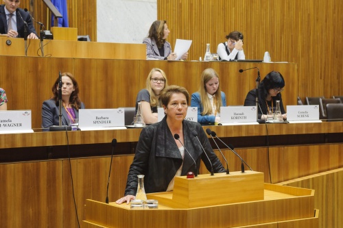 Nationalratsabgeordnete Angela Lueger (S) am Wort