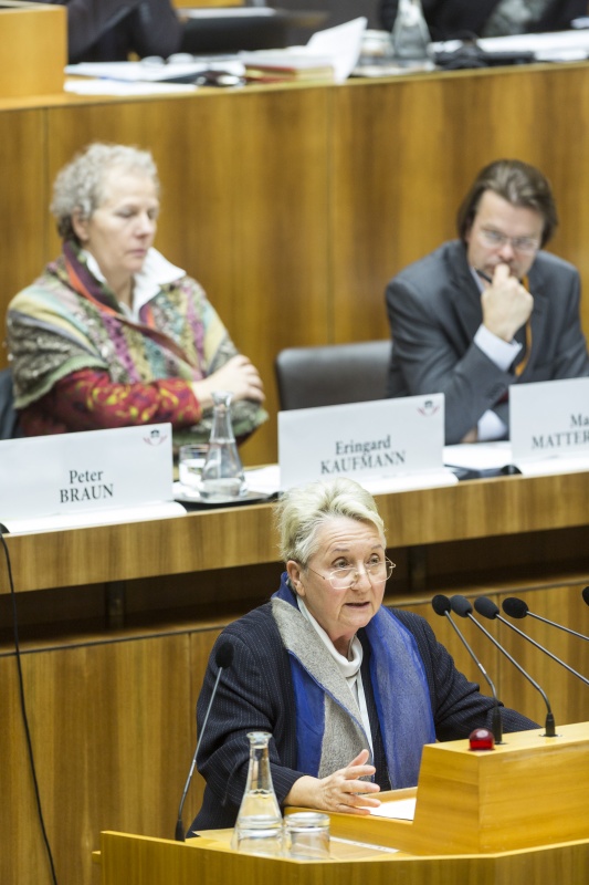 Fachärztin für Innere Medizin Elisabeth Pittermann-Höcker bei ihrem Impulsstatement zum Thema Status quo der Hospiz- und Palliativversorgung und Bedarfanalyse