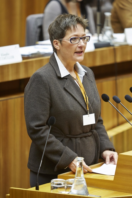Österreichisches Bundesinsitut für Gesundheitswesen Eva-Maria Kernstock am Rednerpult