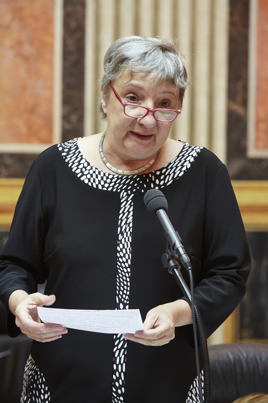 Bundesratsvizepräsidentin Inge Posch-Gruska (S) stellt die Teilnehmer des Panels vor