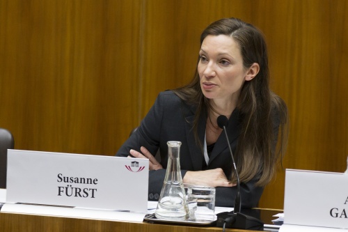Verfassungsexpertin Susanne Fürst am Wort