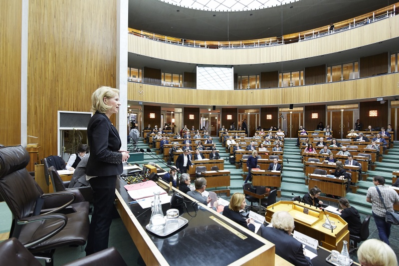 Nationalratsabgeordnete Gertrude Aubauer (V) begrüßt die Enquete-TeilnehmerInnen