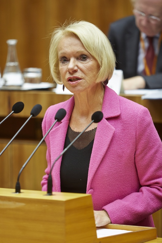 Volksanwältin Gertrude Brinek am Rednerpult