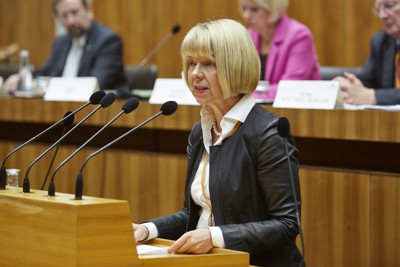 Gabriele Kucsko-Stadlmayer am Rednerpult
