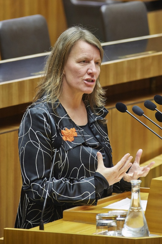 Nationalratsabgeordnete Daniela Musiol (G) am Rednerpult