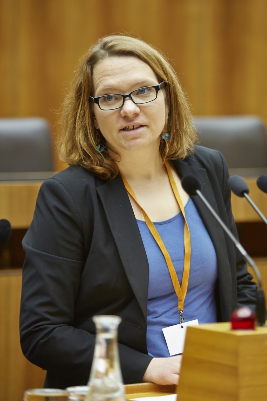 Vertreterin der organisierten Zivilgesellschaft Universitätsassistentin Tina Olteanu Institut für Politikwissenschaften am Rednerpult