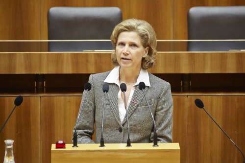Rechtspolitik WKÖ Claudia Rosenmayr-Klemenz am Rednerpult