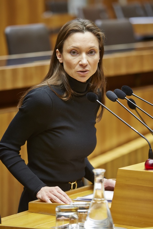 Mitglied ohne Stimmrecht Susanne Fürst am Rednerpult