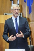 Nationalratsabgeordneter Harald Walser (G) am Wort
