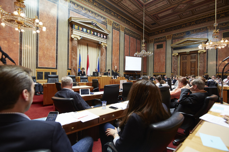Gerlinde Wagner Dienstleiterin des Rechts-, Legislativ- und Wissenschaftlichen Dienstes der Parlamentsdirektion am Rednerpult
