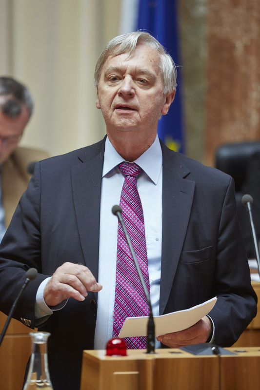 Mitglied ohne Stimmrecht, Werner Zögernitz am Rednerpult