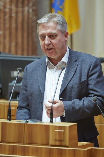 Bundesrat Werner Herbert (F) am Rednerpult