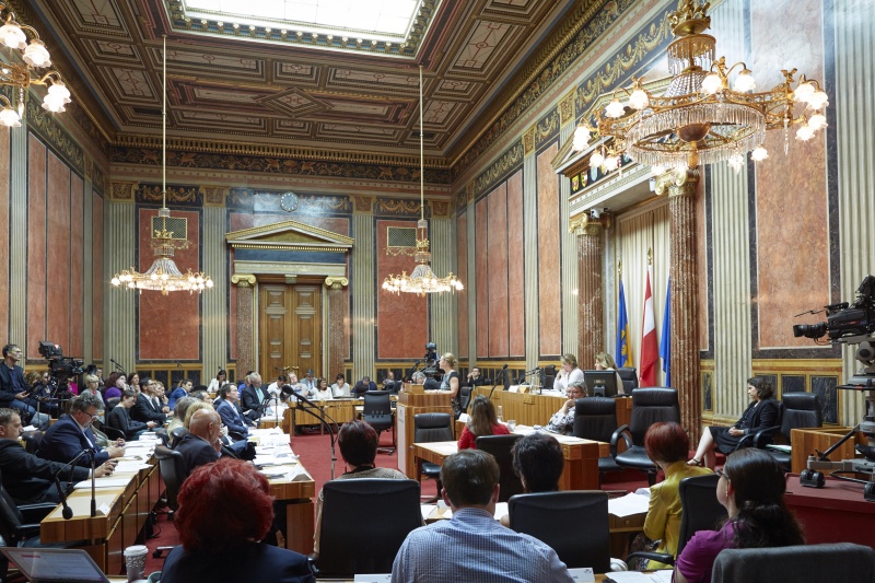 Vertreterin des BMASK Sonja Schmöckel bei ihren Ausführungen. Blick Richtung VEnqueteteilnehmerInnen