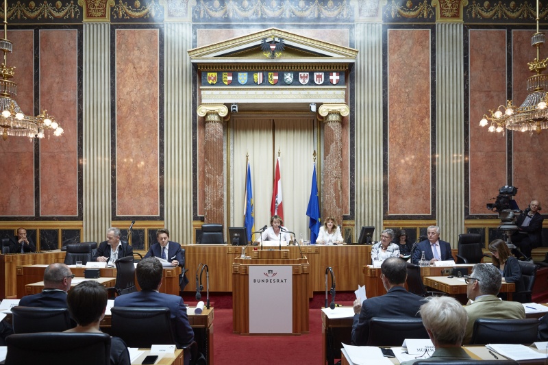 Bundesratspräsidentin Sonja Zwazl (V) bei der Vorsitzführung. Blick Richtung EnqueteteilnehmerInnen