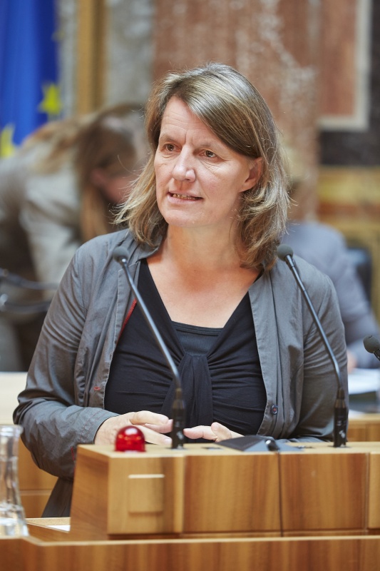 Nationalratsabgeordnete Daniela Musiol (G) am Rednerpult