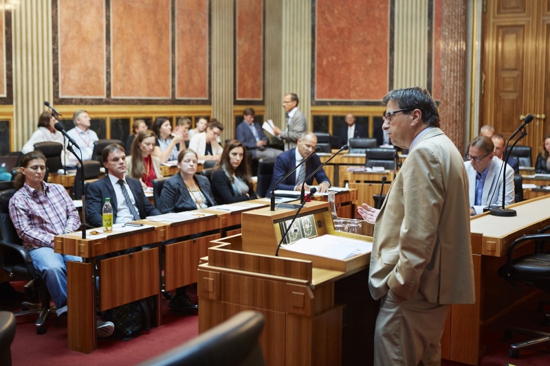 Nationalratsabgeordneter Peter Wittmann (S) am Rednerpult