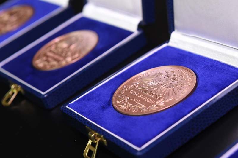 Alfred Fried Medaille