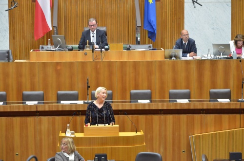 Europaabgeordnete Angelika Mlinar (N) am Rednerpult