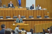 Europaabgeordnete Ulrike Lunacek (G) am Rednerpult