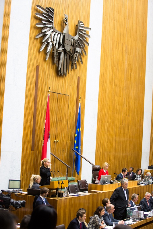 Finanzminister Hans Jörg Schelling (V) bei seiner Budgetrede