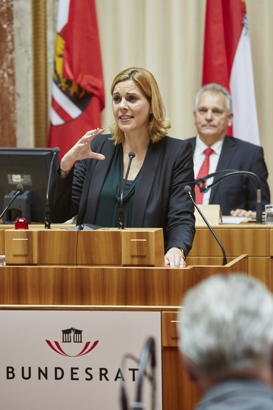 Staatssekretärin Sonja Steßl (V) am Rednerpult