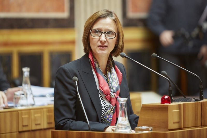 Kammer für Arbeiter und Angestellte Gabriele Zgubic am Rednerpult