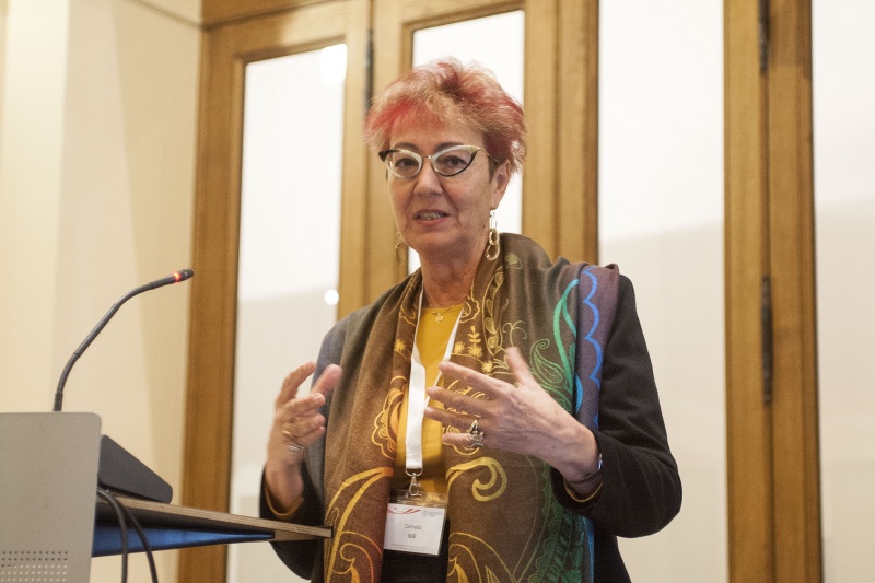 Panel 3: Zayed University Abu Dhabi Cornelia Ilie bei Ihrem Vortrag