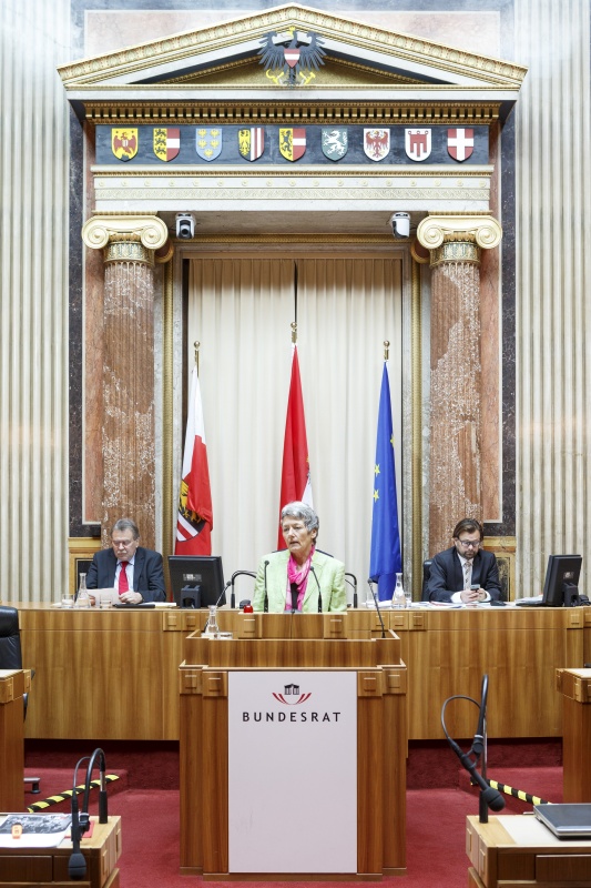 Bundesrätin Heidelinde Reiter (G) am Rednerpult