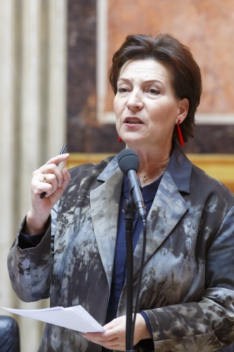 Frauenministerin Gabriele Heinisch-Hosek (S) am Wort