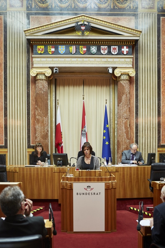 Bundesrätin Renate Anderl (S) am Rednerpult